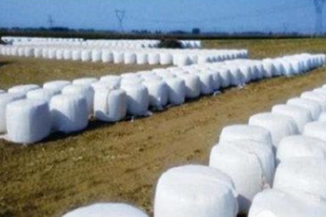 Rural waste fermentation material case