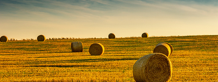 Straw Resource Utilization Solutions
