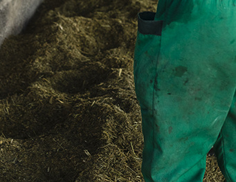 Ranch manure environmentally friendly treatment program